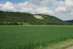 K1600_IMG_1947