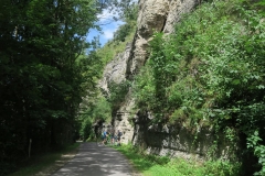 K1600_IMG_0441