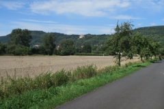K1600_IMG_0442