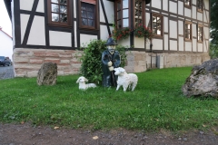 K1600_IMG_0461