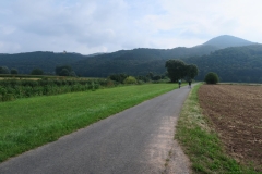 K1600_IMG_0467